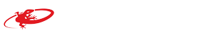 LIZARD SKINS